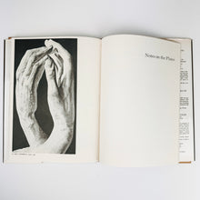 Load image into Gallery viewer, Rodin Plates on Paper Book
