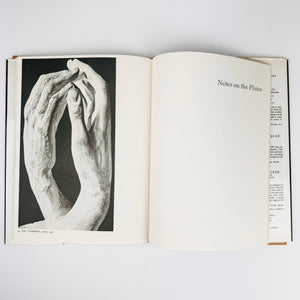 Rodin Plates on Paper Book