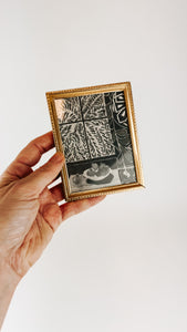 Matisse Framed Print