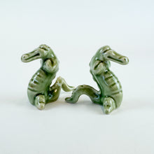 Load image into Gallery viewer, Gator Shakers
