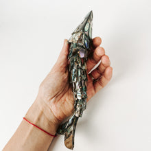 Load image into Gallery viewer, Abalone Fish Bottle Opener
