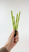 Load image into Gallery viewer, Glass swizzle stick
