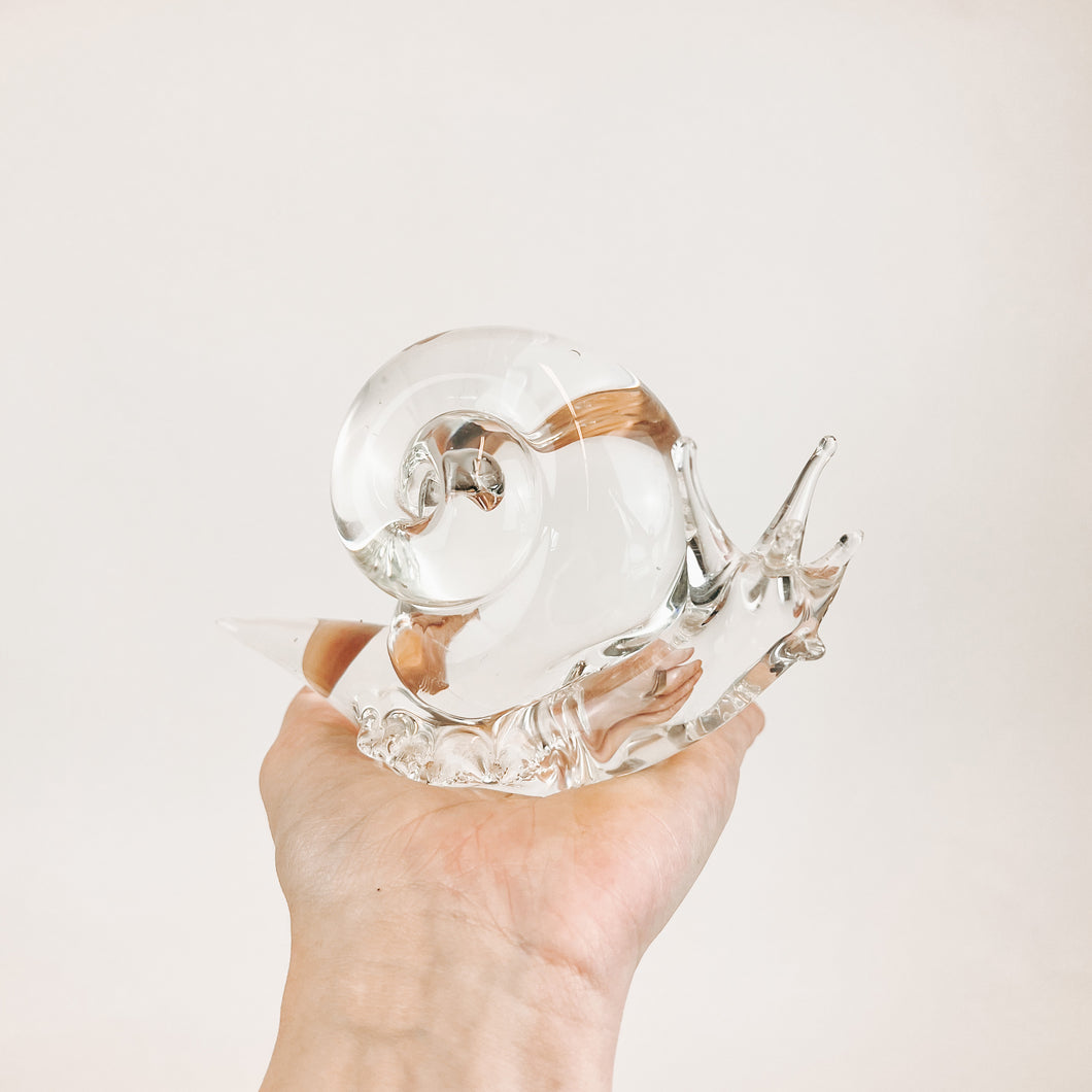 Large Glass Snail
