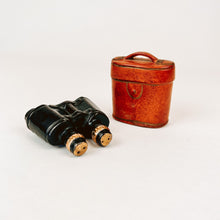 Load image into Gallery viewer, Binocular Salt and Pepper Shakers
