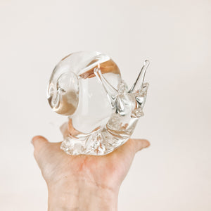 Large Glass Snail