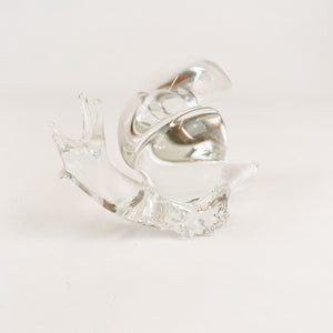 Large Glass Snail