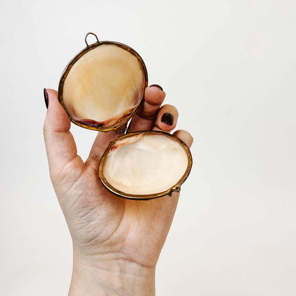 Clasping Shell – Ella Jane Vintage