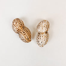 Load image into Gallery viewer, Pair of Peanut Shakers
