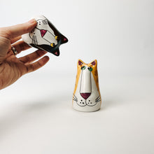 Load image into Gallery viewer, Cat Salt and Pepper Shalees
