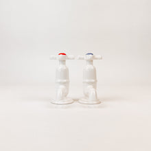 Load image into Gallery viewer, Hot and Cold Salt and Pepper Shakers
