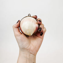 Load image into Gallery viewer, Clasping Shell
