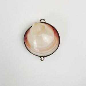 Clasping Shell