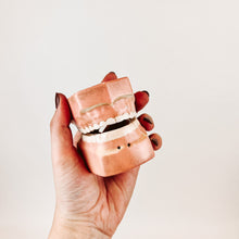 Load image into Gallery viewer, Denture Salt and Pepper Shakers
